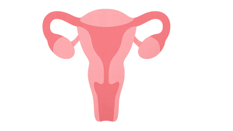 Gynecologic emergency procedures