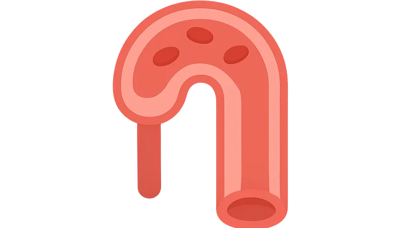 Compliance of blood vessels