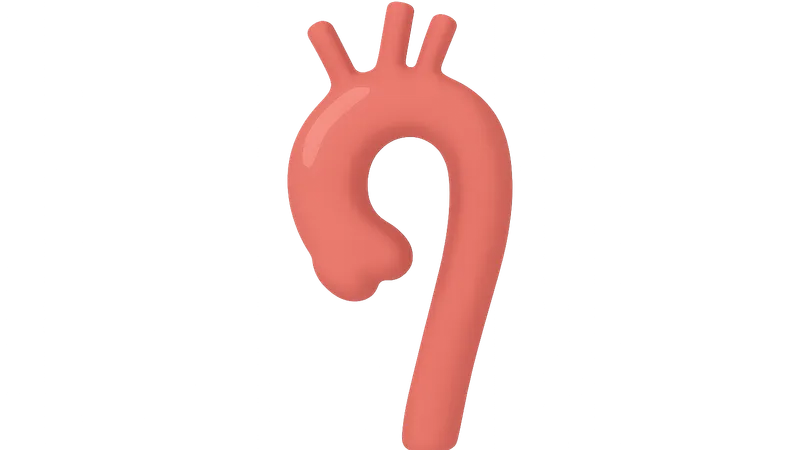 Aortic and Great Vessel Imaging