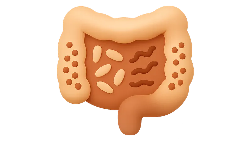 Dysbiosis and disease associations