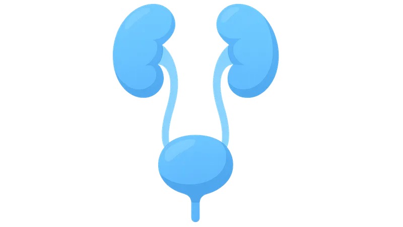 Pediatric Urology Basics