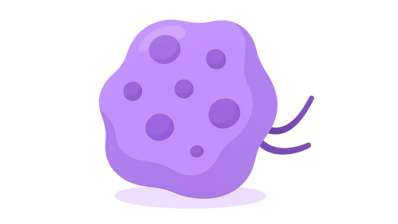 Cancer Screening and Prevention