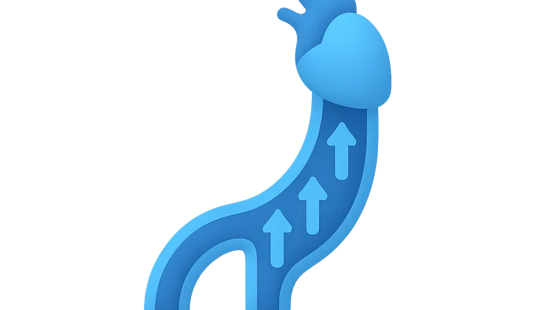 Venous pressure and return