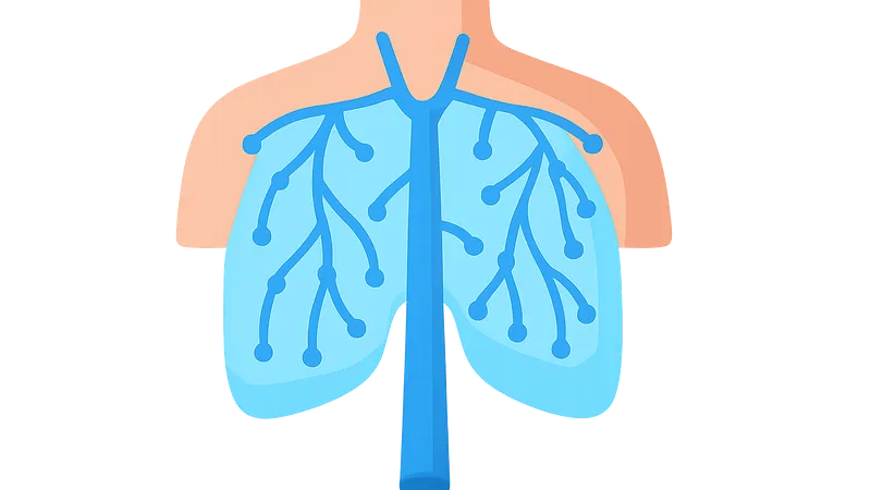 Thoracic lymphatic drainage