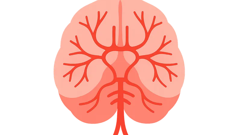 Middle cerebral artery territory