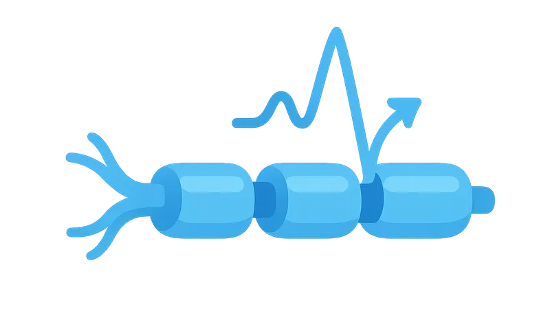 Action Potential Generation and Propagation