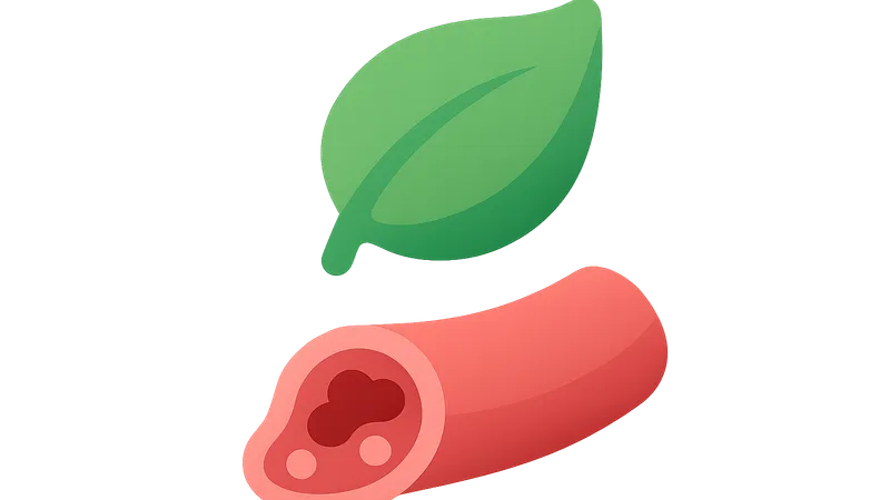 Vitamin K and Blood Coagulation