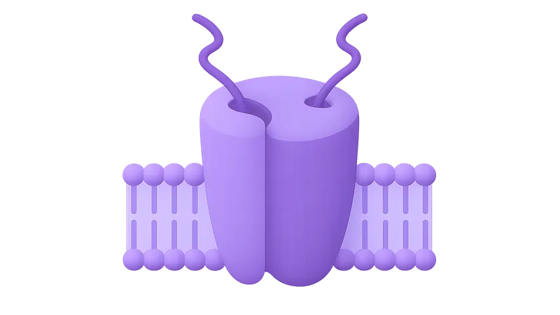 Molecular Basis of Excitability