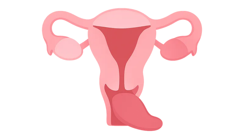 Pelvic Organ Prolapse
