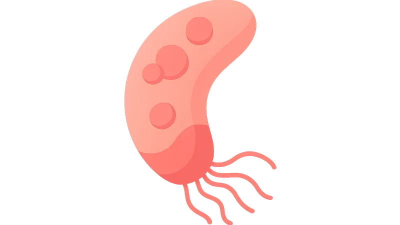 Blood and tissue parasites