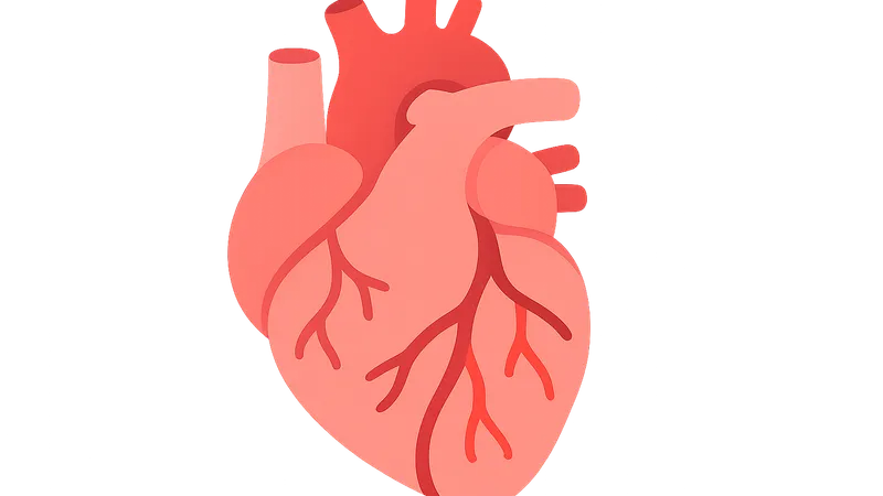 Regional blood flow distribution