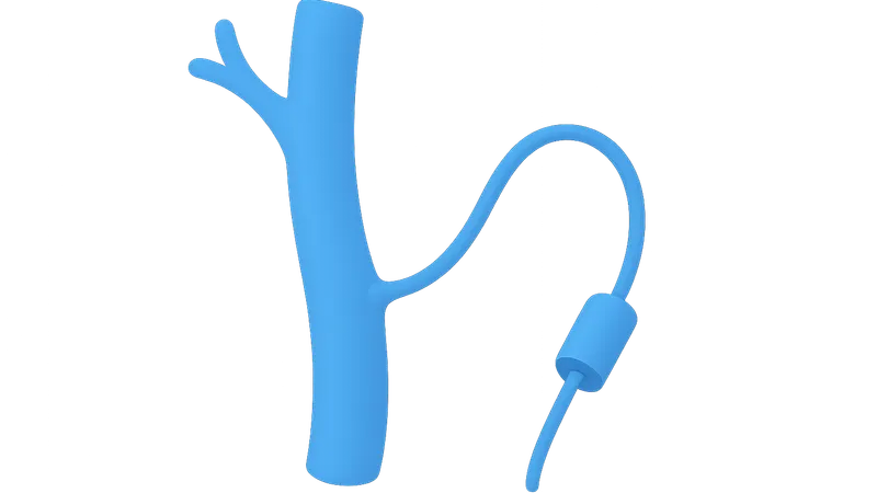 Venous Interventions