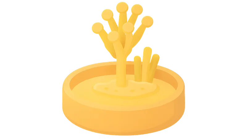 Laboratory Diagnosis of Fungal Infections