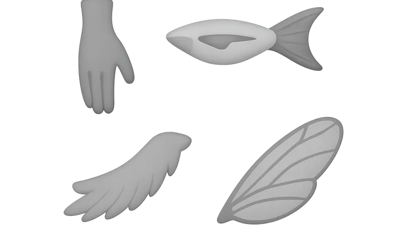 Homologous and Analogous Structures