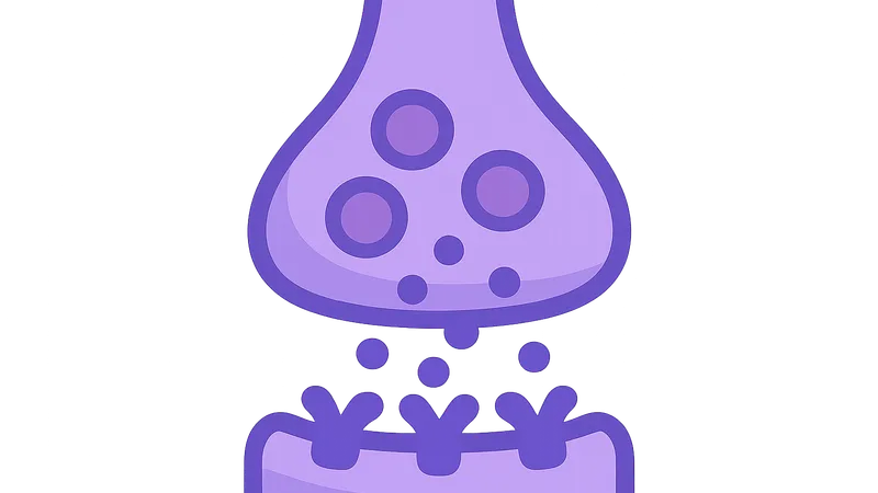 Neurotransmitters and Receptors