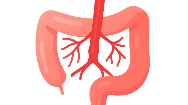 Mesenteric Vascular Disease