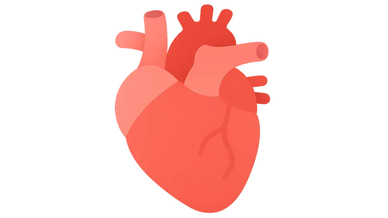 Cardiovascular