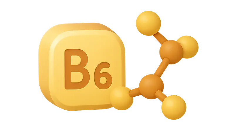 Vitamin B6 and Transamination