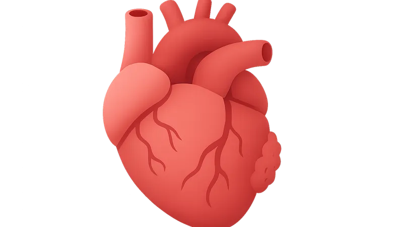 Aging effects on cardiovascular system