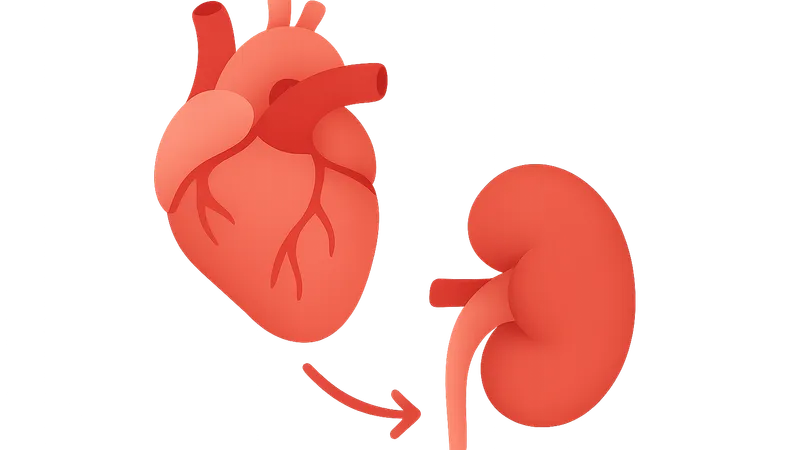 Cardio-renal syndrome