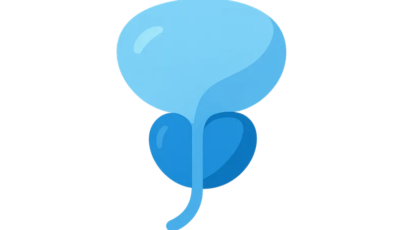 Prostate surgery basics