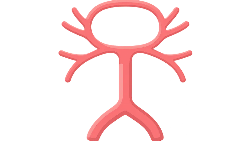 Vertebrobasilar system