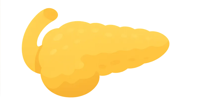 Pancreatic Exocrine Function