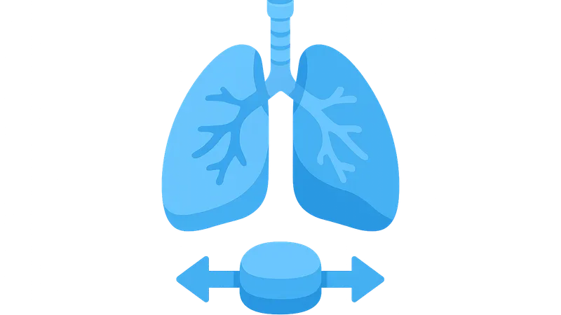 Combined respiratory system compliance