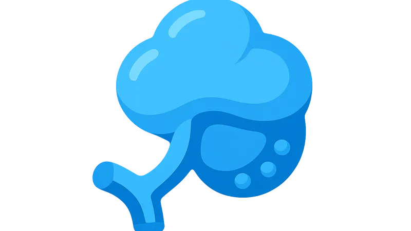 Surfactant function and synthesis