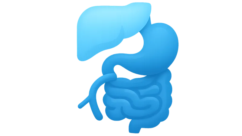 Small Bowel Transplantation