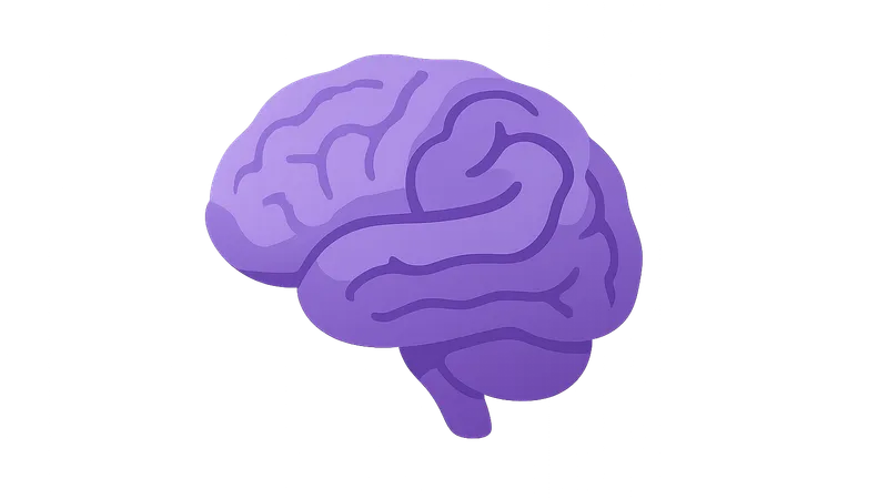 Brain and Neuroanatomy