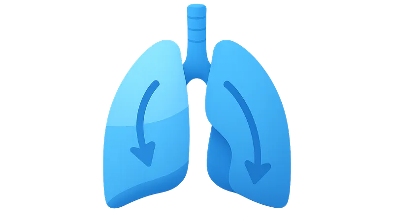 Gravity effects on V/Q distribution