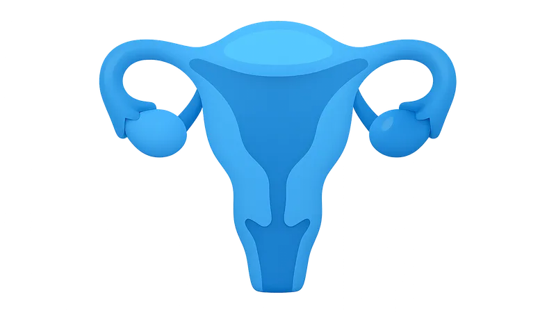 Male Reproductive Physiology