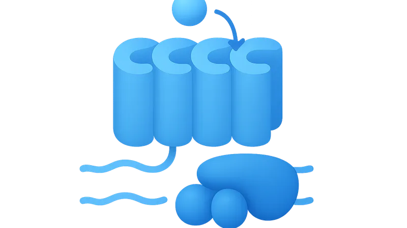 G-protein coupled receptors