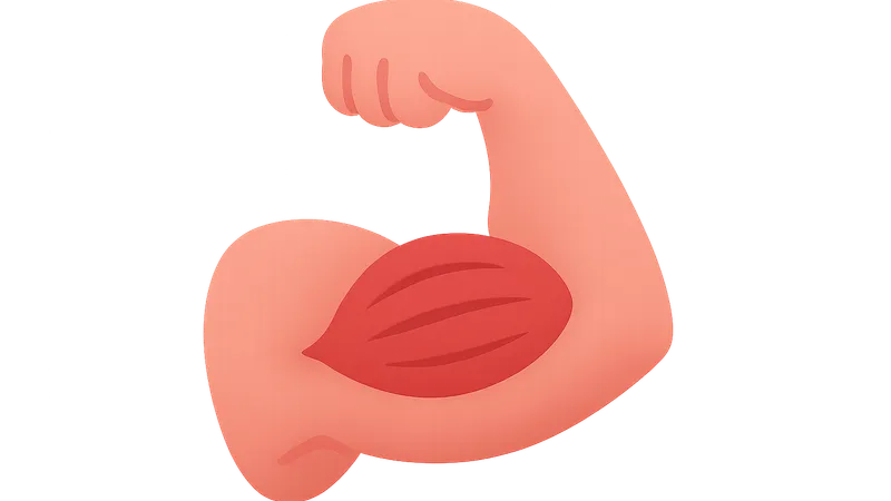 Exercise training adaptations