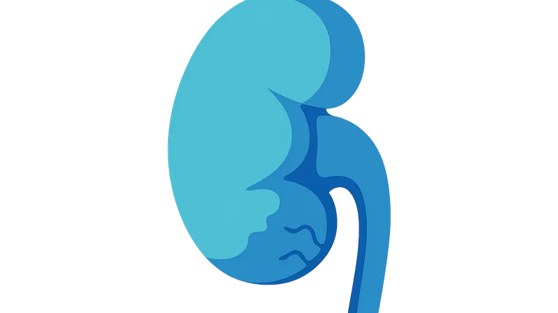 Perioperative Renal Dysfunction