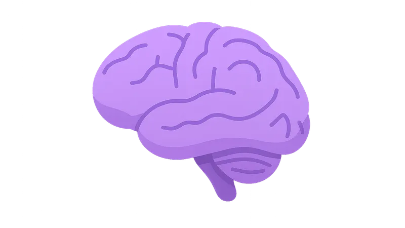 Neuroanatomy for Psychiatry