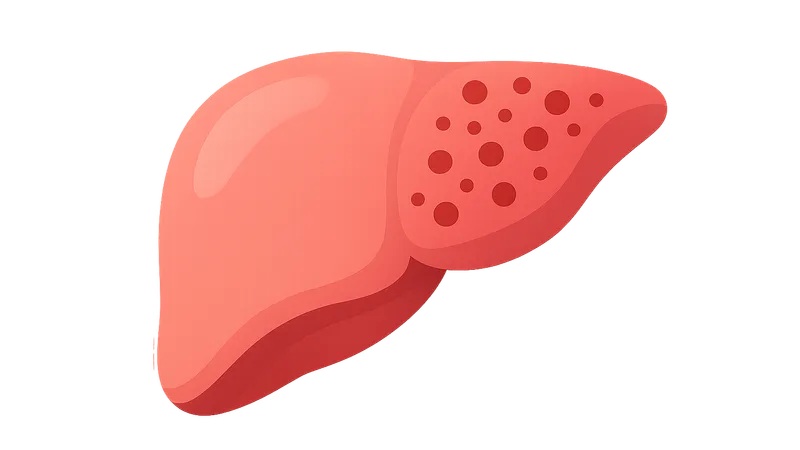 Antimicrobial toxicities