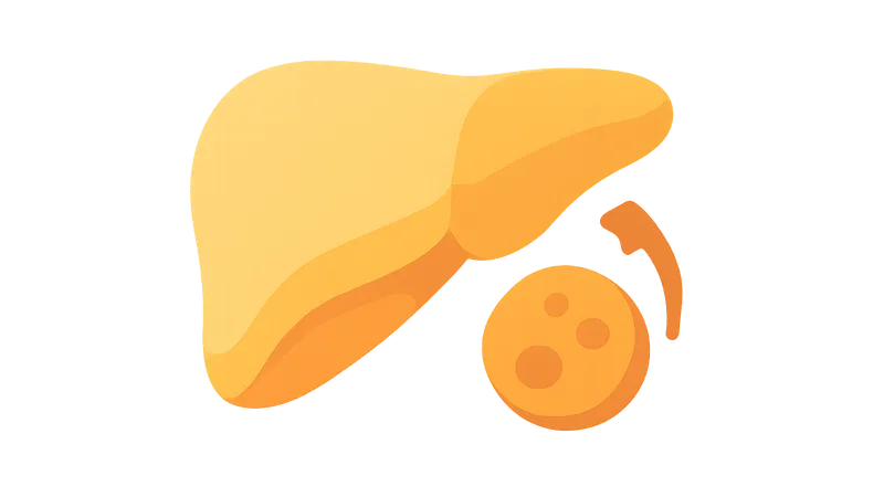 Detoxification of Heavy Metals