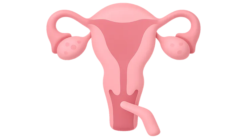 Evaluation of Menstrual Disorders