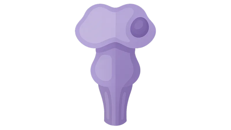 Brainstem lesions and clinical correlations