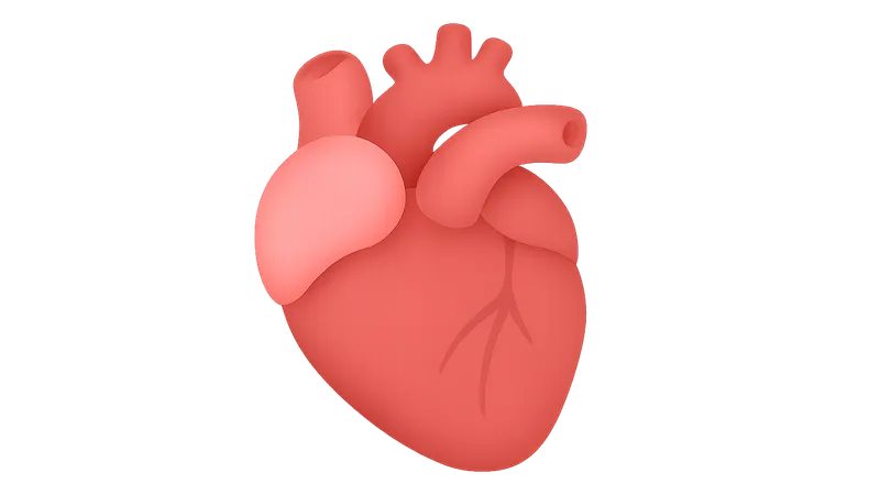 Atrial contribution to cardiac function