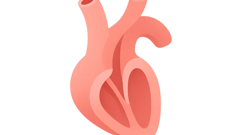 Outflow tract septation