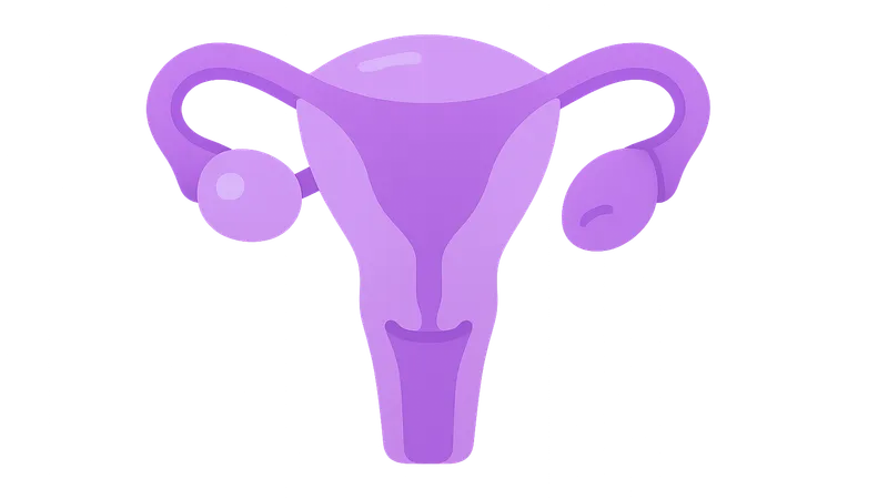 Sexual Assault Examination