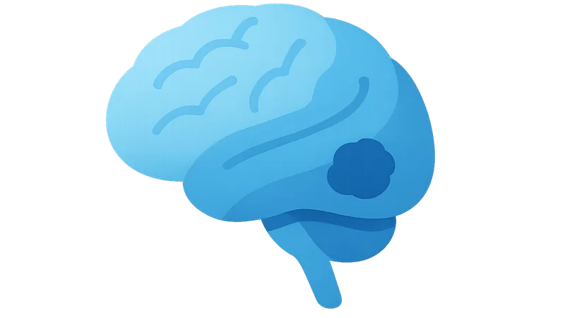 Clinical Correlations in Neuroanatomy