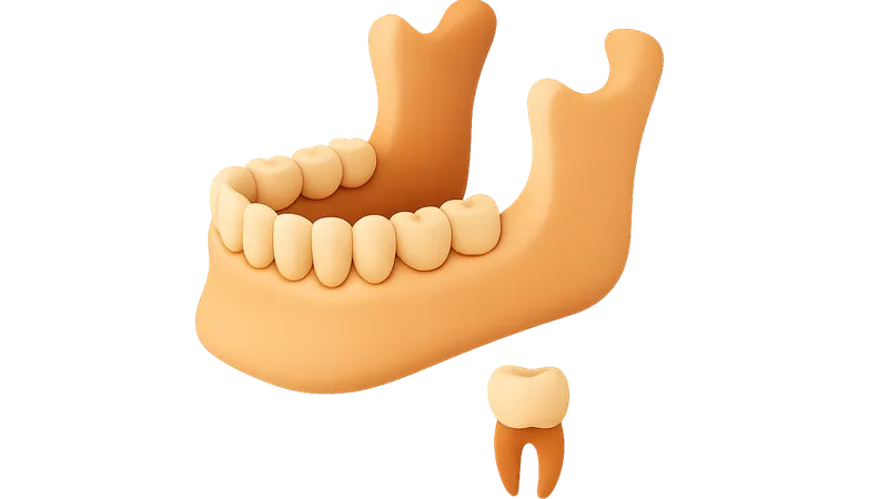 Age Estimation from Teeth