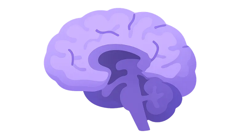 Neuroimaging findings