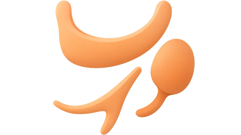 Second pharyngeal arch derivatives