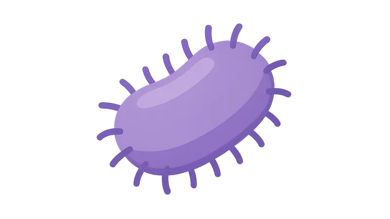 Klebsiella species