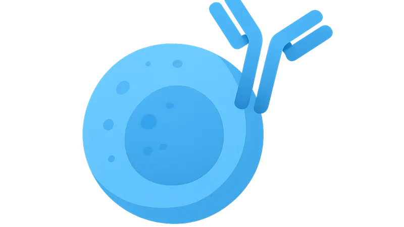 B-cell depleting antibodies